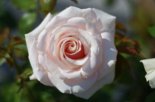 IMGP1671.jpg