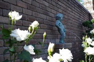 IMGP1686.jpg
