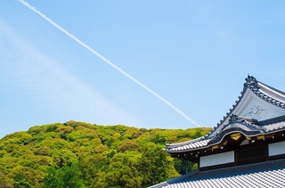 IMGP1772-1.jpg