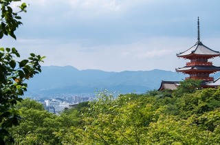 IMGP1823-1.jpg