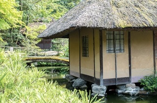 IMGP1861-1.jpg