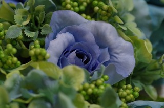 IMGP1961macro.jpg
