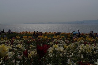 IMGP2084.jpg