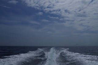 IMGP2259.jpg