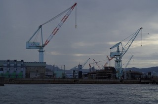 IMGP2443.jpg