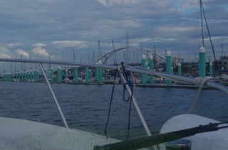 IMGP2489.jpg