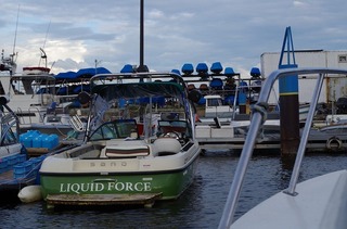 IMGP2491.jpg