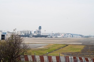 IMGP2910-1.jpg