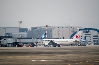 IMGP2911-1.jpg