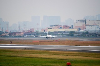 IMGP2912-1.jpg