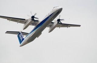 IMGP2913-1.jpg