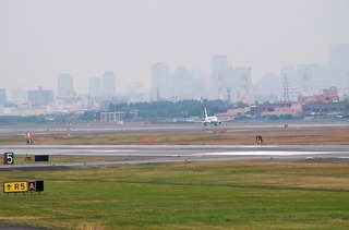 IMGP2917-1.jpg