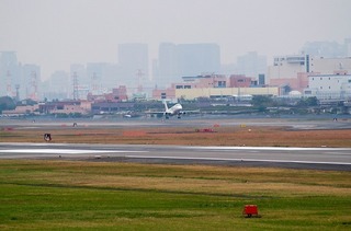 IMGP2918-1.jpg