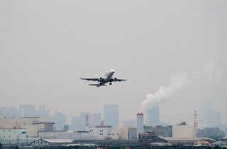 IMGP2919-1.jpg
