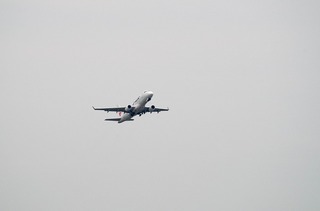 IMGP2920-1.jpg