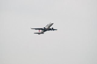 IMGP2921-1.jpg