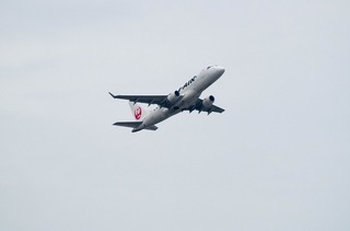 IMGP2922-1.jpg