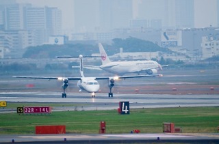 IMGP2933-1.jpg