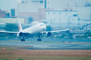 IMGP2937-1.jpg