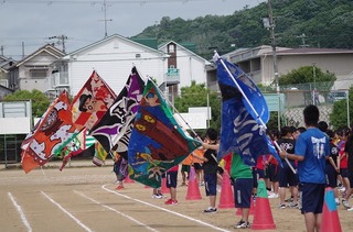 IMGP3291.jpg