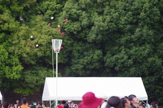 IMGP3398.jpg