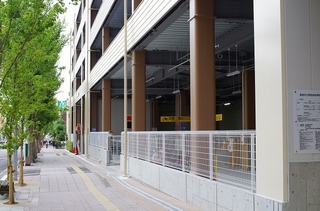 IMGP3471.jpg
