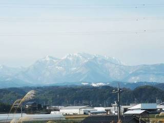 IMG_20201227_101203_resize_20201231_013714.jpg