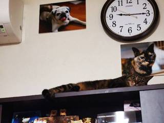 IMG_20210731_211452_resize_20210731_231909.jpg