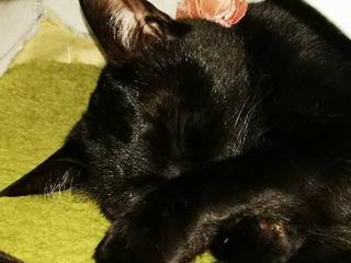 IMG_20220122_225741_resize_20220122_234844.jpg