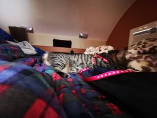 IMG_20220320_105248_resize_20220320_184909.jpg