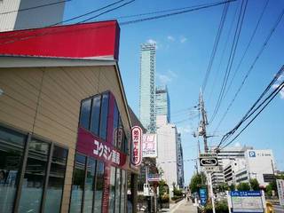 IMG_20220612_105651_resize_20220612_215415.jpg