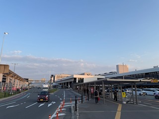 IMG_5407_resized.jpeg