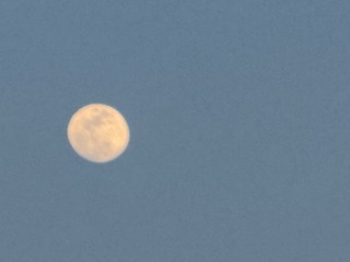 IMG_5409_resized.jpeg