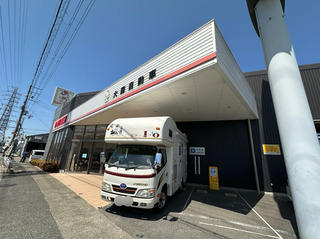 IMG_8334.jpeg
