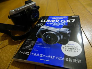 LRG_DSC00664.jpg