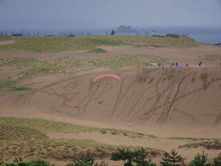 P1010742.jpg