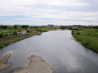 P1020119-1.jpg