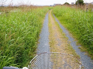 P1020120-1.jpg