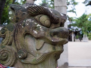 P1020130-1.jpg