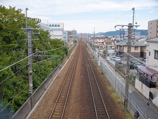 P1020136-1.jpg
