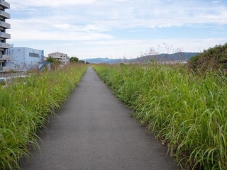 P1020137-1.jpg