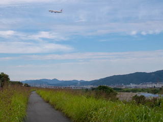 P1020138-1.jpg