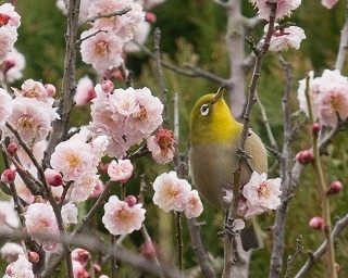 P1020363-36トリミング.jpg