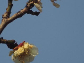 P2280061.jpg