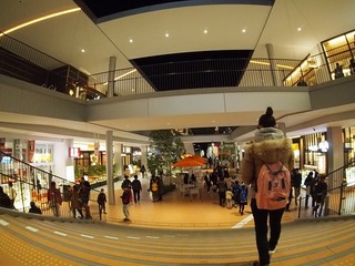 PC180017.jpg