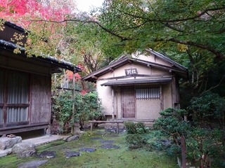 PICT_20141112_154506.jpg