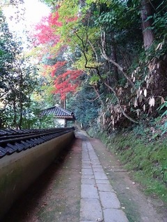 PICT_20141112_154957.jpg