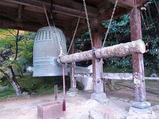PICT_20141112_155220.jpg