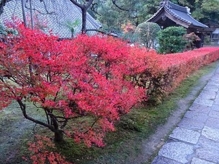 PICT_20141112_155337.jpg