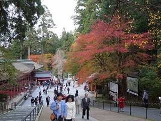 PICT_20141116_152457.jpg
